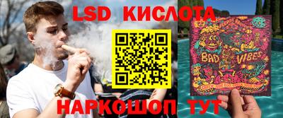 хмурый Сланцы