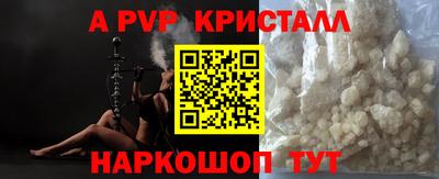 хмурый Сланцы