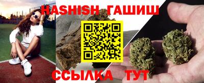 хмурый Сланцы
