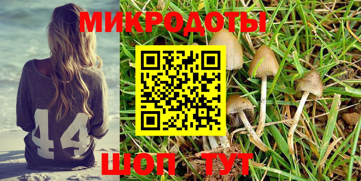 Псилоцибиновые грибы мицелий  Вход с VPN  Ртищево 